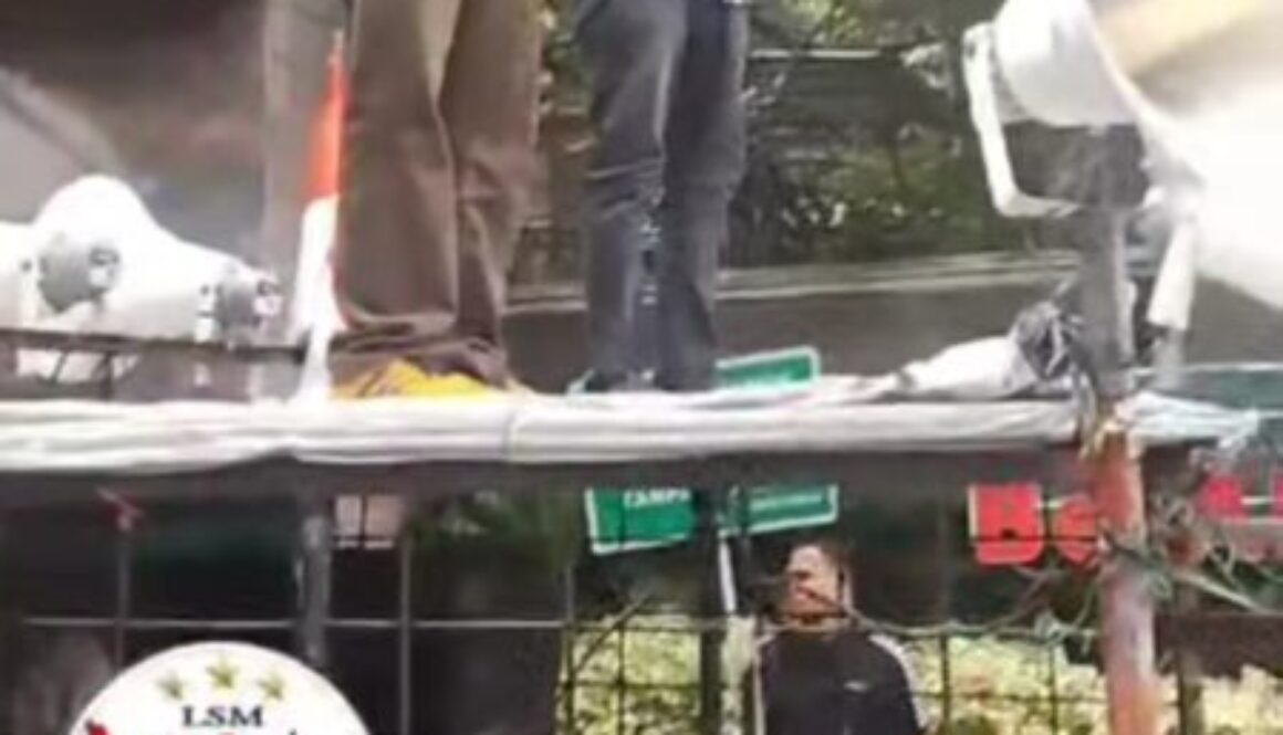 Screenshot_20260311-171649